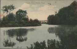 Charles River, Waban, Mass. Bridge View Postcard