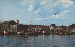 Fishing Boats in Gloucester Harbor Postcard