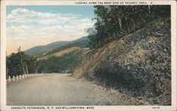Looking Down West Side of Taconic Trail, Petersburg NY & Williamstown MA Postcard