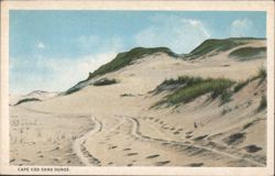Cape Cod Sand Dunes Postcard