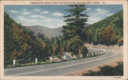 A Beautiful Drive Along the Cold River, Mohawk Trail, MASS. Postcard