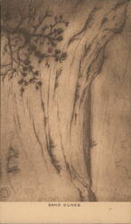 Sand Dunes, Provincetown, MA Postcard