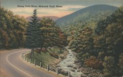 Along Cold River, Mohawk Trail, Mass. Postcard