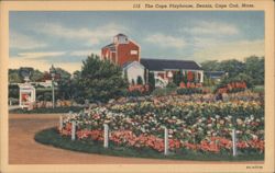 The Cape Playhouse, Dennis, Cape Cod Postcard