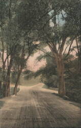 Willow Arch at Hon. Jos. H. Choate Estate Postcard