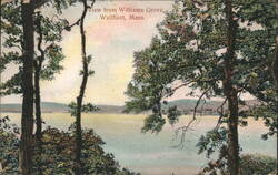 Williams Grove Water View through Trees Postcard