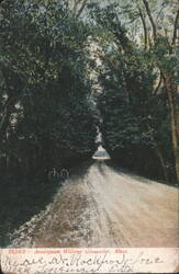 Annisquam Willows Road with Bicycle Postcard