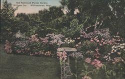 Old Fashioned Flower Garden, Williams Inn Postcard