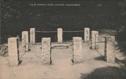Site of Thoreau's Cabin, Concord, Massachusetts Postcard