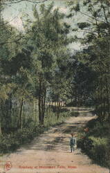 Roadway at Middlesex Fells, Mass. Postcard