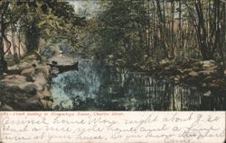 Creek to Norumbega Tower, Charles River Postcard