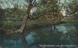 The Brook Scene near Brockton, Massachusetts Postcard