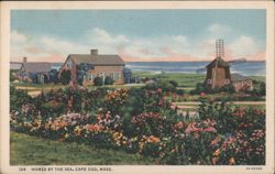 Homes by the Sea, Cape Cod, Mass. Postcard