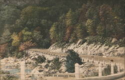 Scene on Mohawk Trail, Winding Road & Forest Postcard
