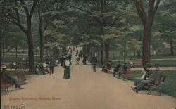 Boston Common Park Scene with People Postcard