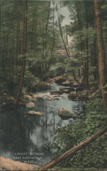 Lover's Retreat, Wooded Stream with Rocks Postcard