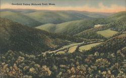 Deerfield Valley Mohawk Trail, Mass. Postcard