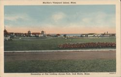 Steamship at Pier Looking Across Park, Oak Bluffs Postcard