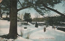 Franklin Park in Winter Postcard