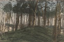 Indian Ridge Woods, Andover, MA Postcard