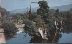 Bridge of Flowers, Mohawk Trail Postcard