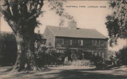 Hartwell Farm House with Large Tree Postcard