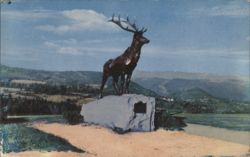 The Elk at Whitcomb Summit, Mohawk Trail Postcard
