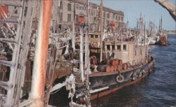 Fish Pier in Winter, Fishing Boats, Boston Postcard