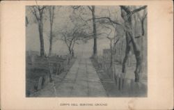 Copp's Hill Burying Ground Path, Boston Postcard