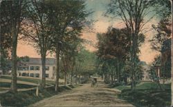 Chadwick St., Haverhill, MA - Tree-lined Street Postcard