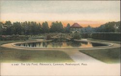 Lily Pond, Atkinson's Common, Newburyport, MA Postcard