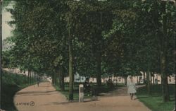 The Common, Tree-Lined Path, Attleboro, Massachusetts Postcard