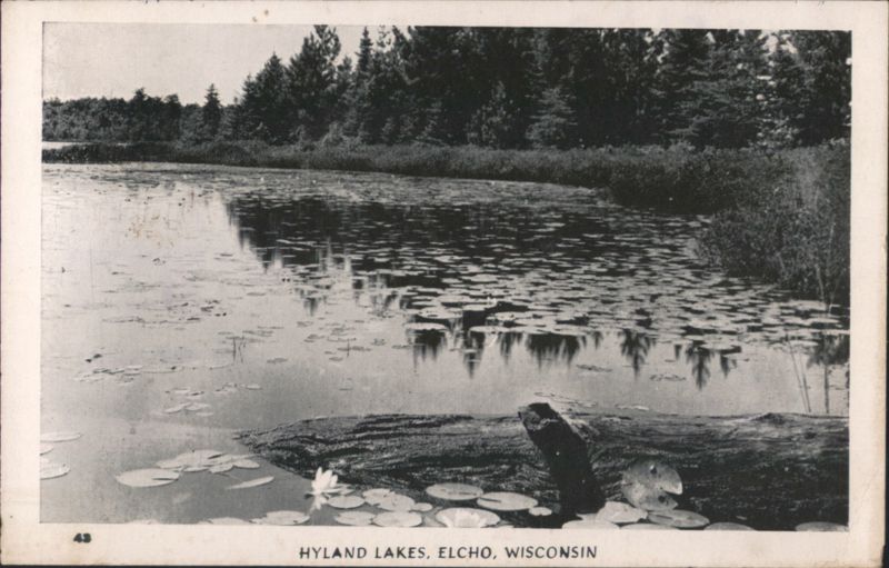 Hyland Lakes Lily Pads & Trees Reflection, Elcho Wisconsin