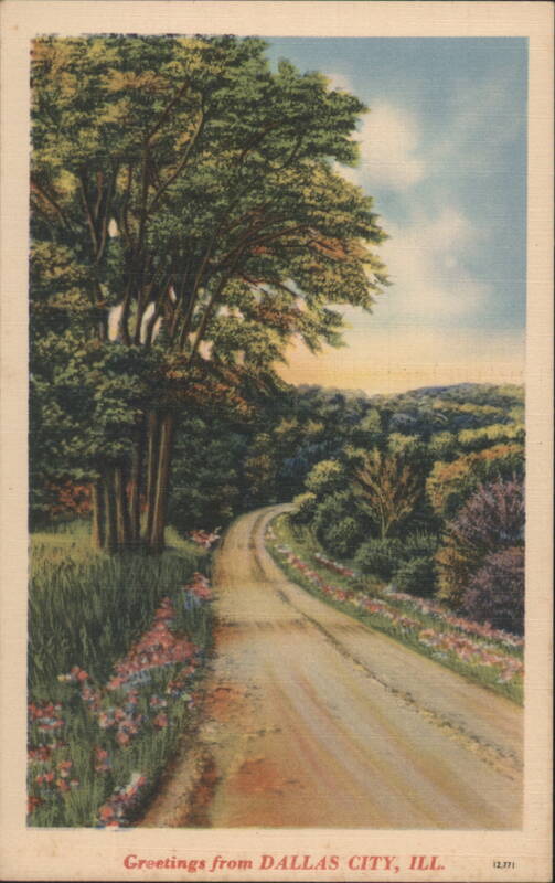 Winding Road through Woods with Flowers - Dallas City Illinois