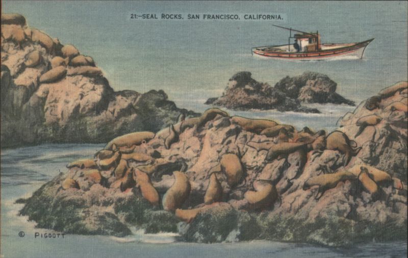 Seal Rocks & Sea Lions with Boat San Francisco California