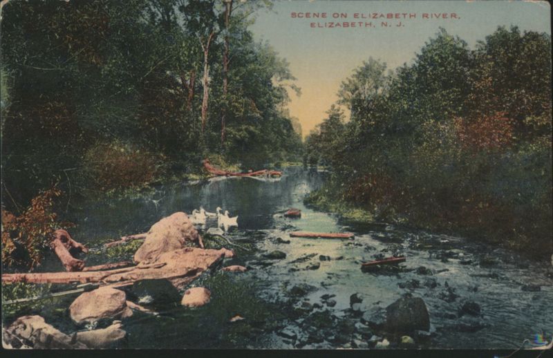 Elizabeth River Woodland Scene, Elizabeth, NJ New Jersey