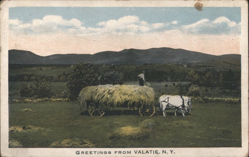 Farmer on Hay Wagon with Horses, Valatie, NY New York