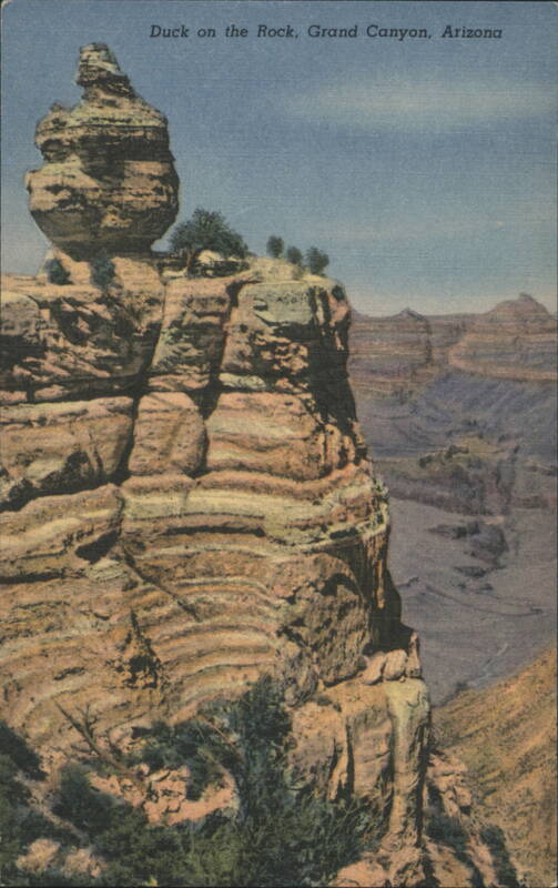 Duck on the Rock, Grand Canyon, Arizona Grand Canyon National Park