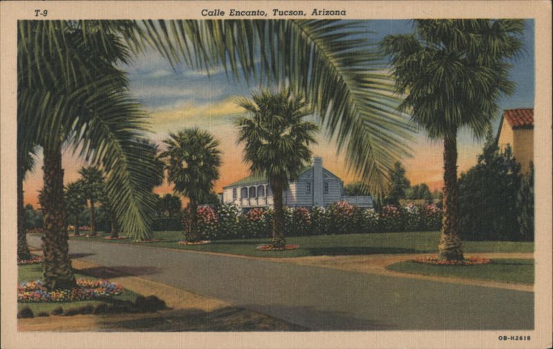 Calle Encanto, Tucson, Arizona - Palm Lined Street