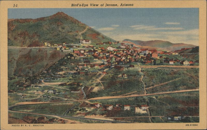 Bird's-Eye View of Jerome Arizona R. C. PROCTOR