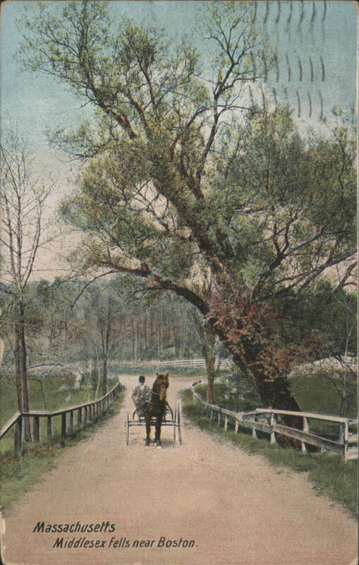Middlesex Fells near Boston, Horse and Cart on Road Massachusetts