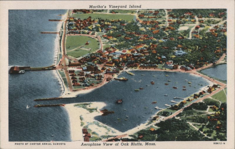 Aeroplane View of Oak Bluffs, Martha's Vineyard Island Massachusetts