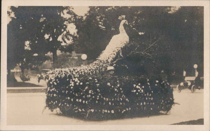 Peacock Float, Flower Covered, Man Inside Events