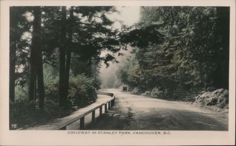 Driveway in Stanley Park, Vancouver, BC Canada British Columbia