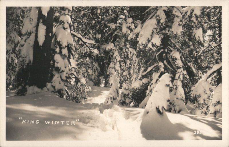 King Winter Snow Covered Trees Winter Landscape Landscapes