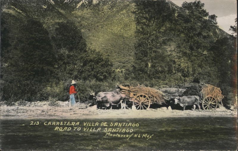 Ox Carts on Road to Villa de Santiago Monterrey Mexico