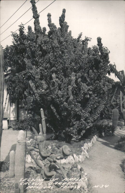 Mertle's Cactus Garden, Edinburg, Texas