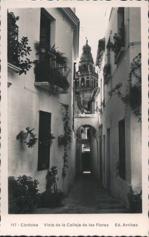 Vista de la Calleja de las Flores, Córdoba Spain
