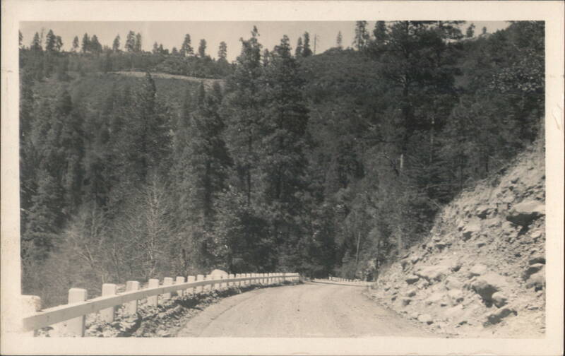 Mountain Road with Guardrail Overlooking Dense Forest