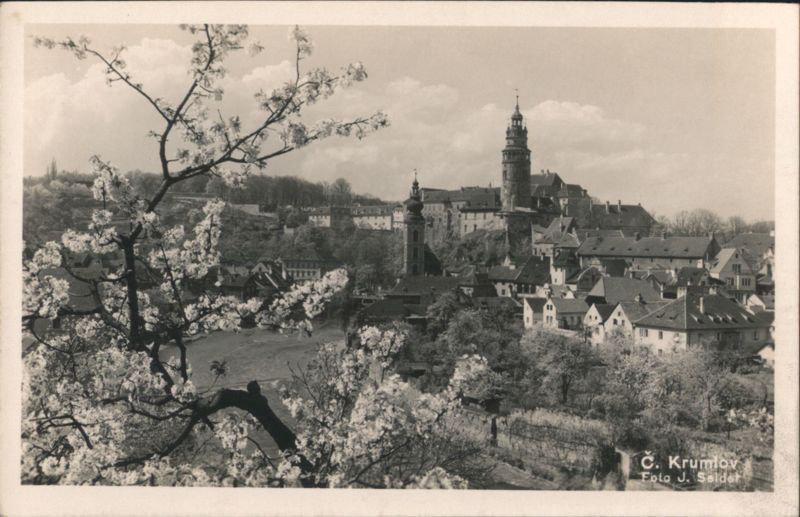 Č. Krumlov Cityscape with Blooming Trees Český Krumlov Czechoslovakia